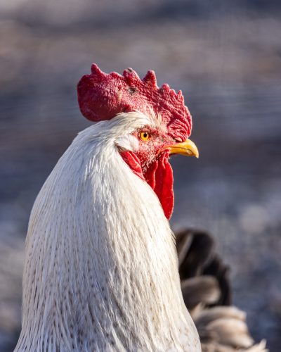 0B3A2751