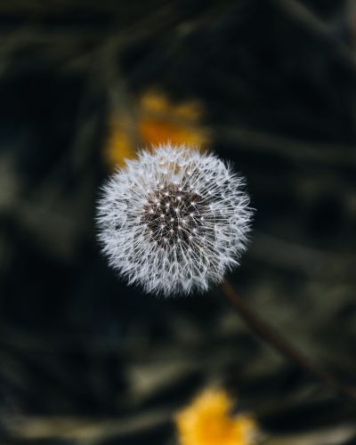0B3A5123