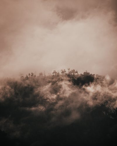 0B3A5365-2